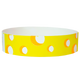 Cheese