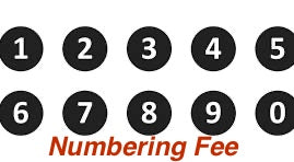 Custom Fees